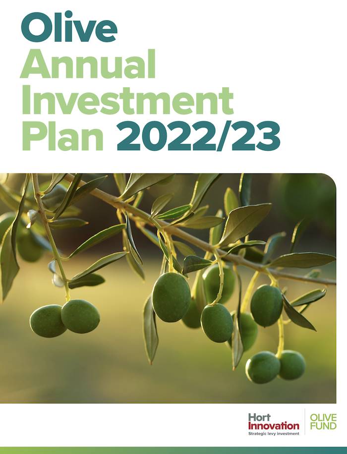 Olive Fund Annual Report 2020-21